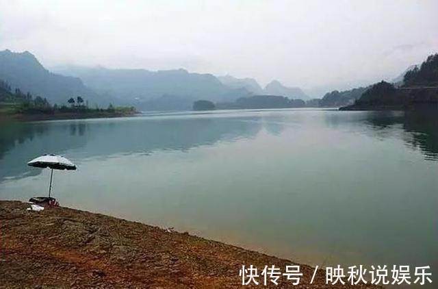 鲫鱼|自制酒米做窝钓鲫鱼,钓获肥美高背鲫,估计是走了“狗屎运”