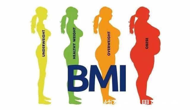 体脂率|微胖的人更长寿?怎样才是微胖?我应该继续减肥吗?一文全读懂