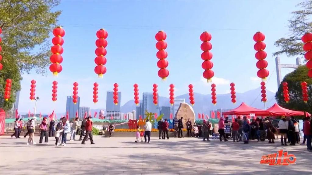 老年|假期余额不足，快去赏花！（附攻略）