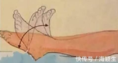 藏象学说|7个动作，不仅可以助人长寿，每天要练一练，寿比南山不老松