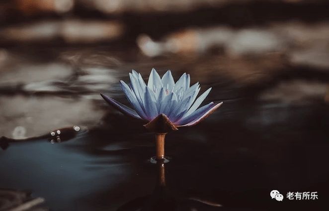 周易|天道酬勤,地道酬什么?人道酬什么?句句在理~