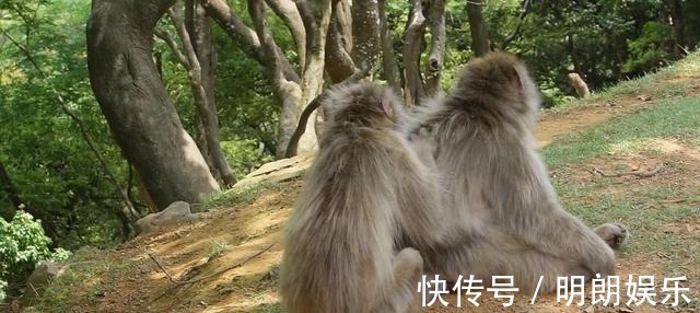 华佗@历史上那些妙不可言的公正对联,你不看看?