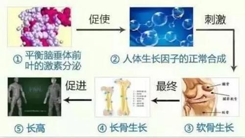生长激素|爸妈都矮,儿子19岁才148cm,还能长高吗?这些长高秘籍你应该知道!