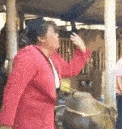 |搞笑GIF趣图：说实话，这钢琴真不错！有谁知道是什么牌子的？