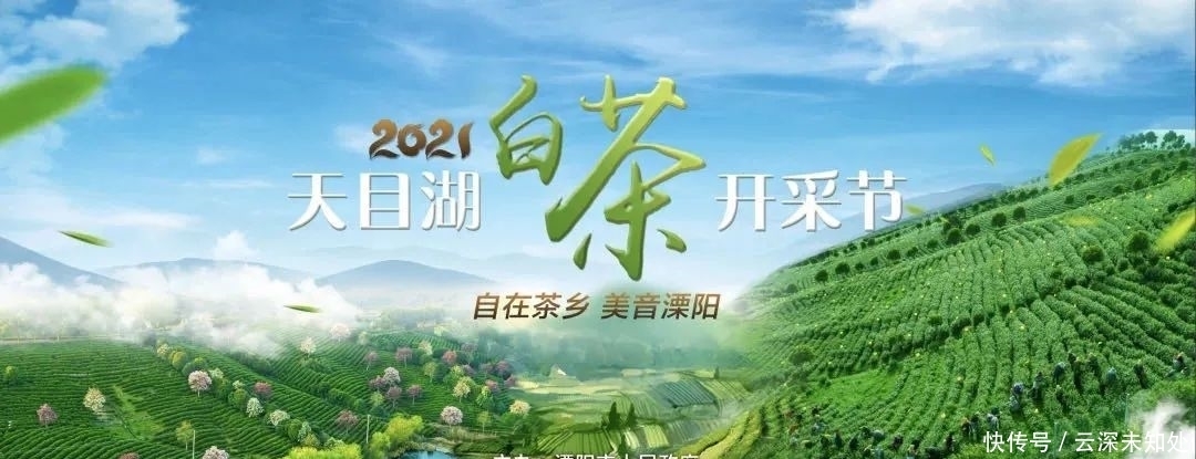 溧阳文旅管理平台助力城市文化新引擎