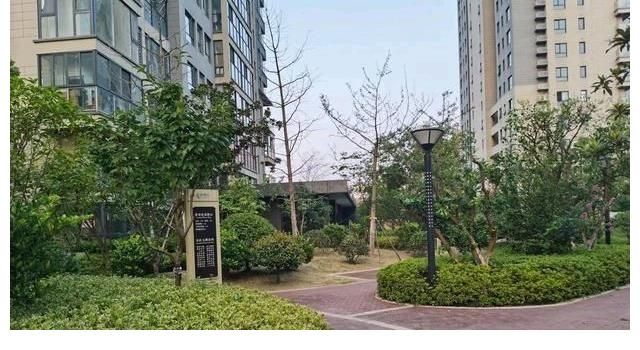 重蹈覆辙|日本房价曾经一夜崩盘，中国房价会重蹈覆辙吗