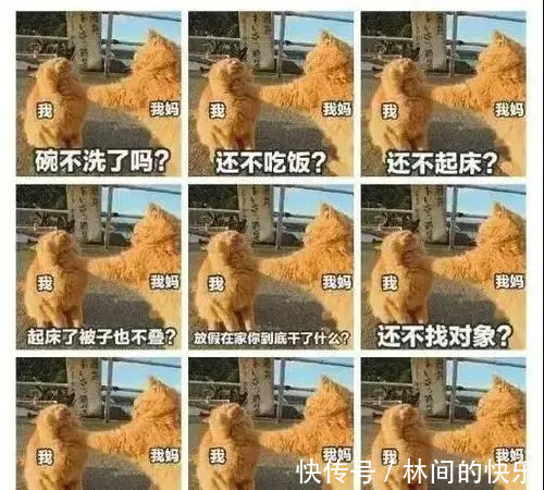 |今日段子:我给北方的朋友普及一下,这是我们南方的跨界请客!