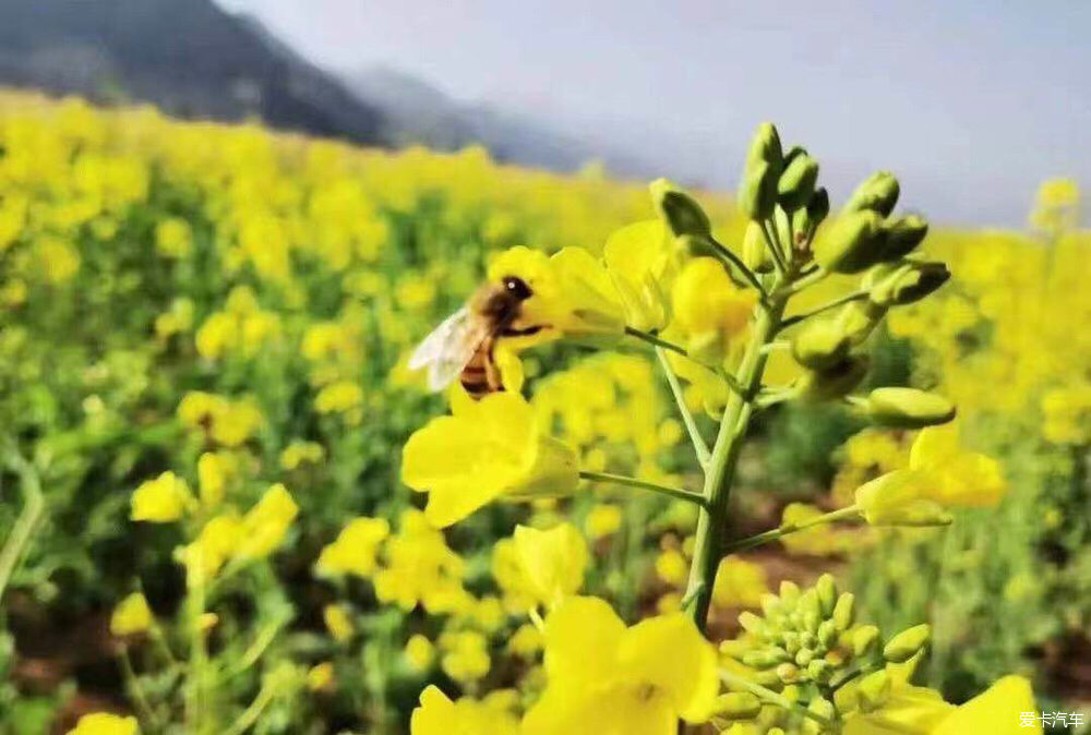 阳光正好，微风拂面