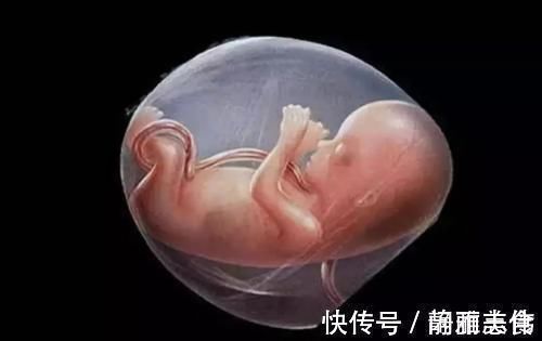 受精卵|首例试管婴儿已经32岁了!情况可能和你们想的不一样