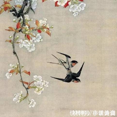 苏轼|苏轼很有特色的一首词,名句纷呈,“天涯何处无芳草”也出自此词