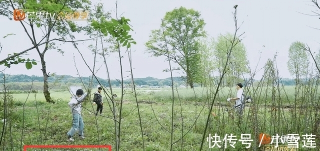 蘑菇屋|彭昱畅有事缺席《向往5》录制，临走做两大贡献，张艺兴压力变小