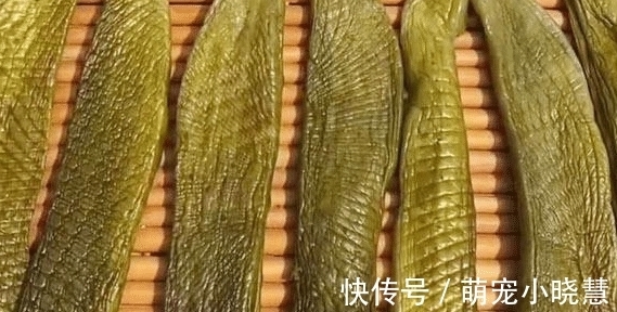 正当季|这食材正当季,买些不去皮不切片,整个一烫一晒,炒菜吃老美味了