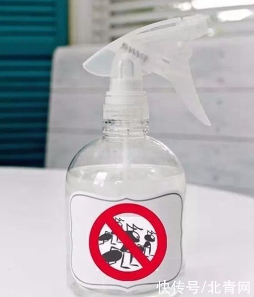 衣柜|家里的花露水往这喷，再也不怕信息泄露