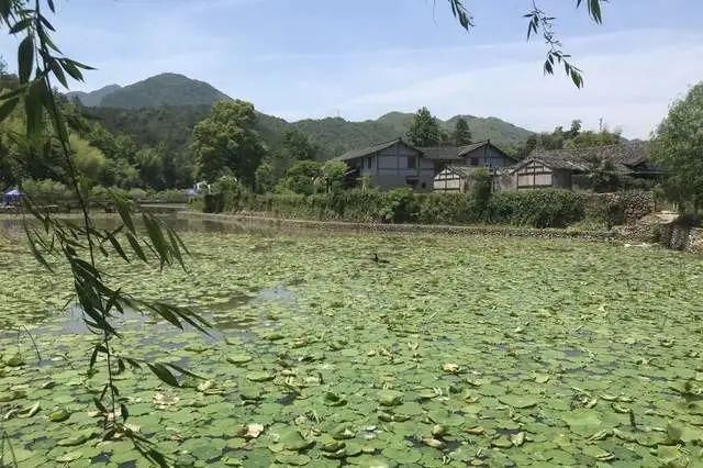  屿北古村，形若莲花绽放千年