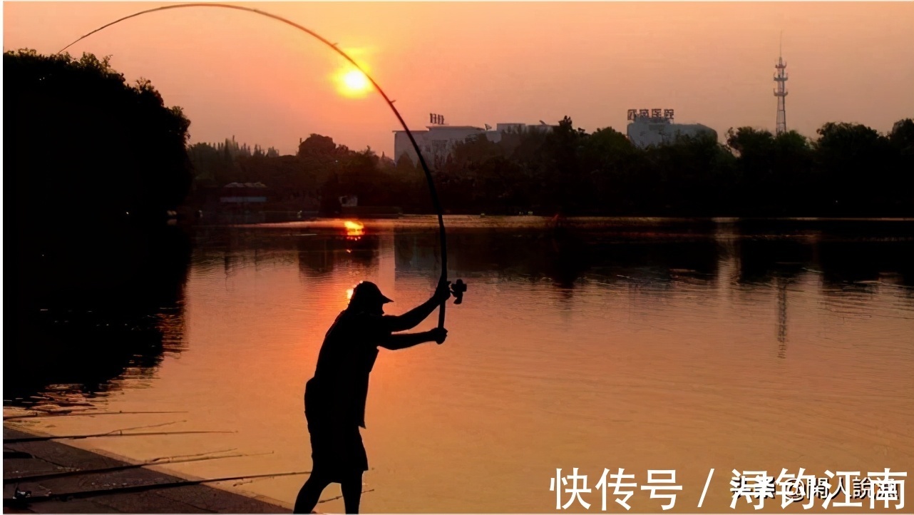 觅食|为何你在秋天钓不到鱼?别人却收获满满,原来是你忽视了天气因素