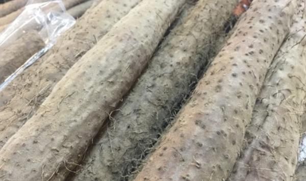 食物|女性子宫“垃圾成堆”,多吃4种食物,杀菌消炎,远离妇科炎症