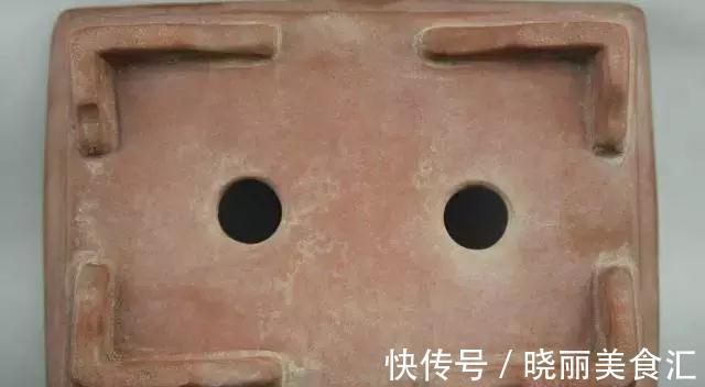 刚买的花说死就死，因为你没有做好这11点养花细节