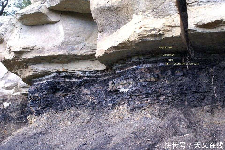 火星没有生命，地球充满生机， “红蓝兄弟”为何命运截然不同？