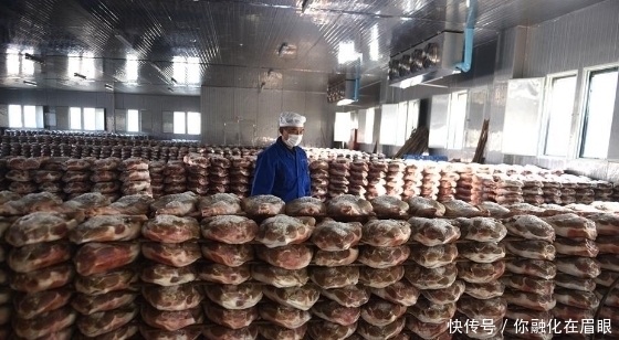 晾晒|金华火腿扎堆晾晒场面壮观,成品45元一斤