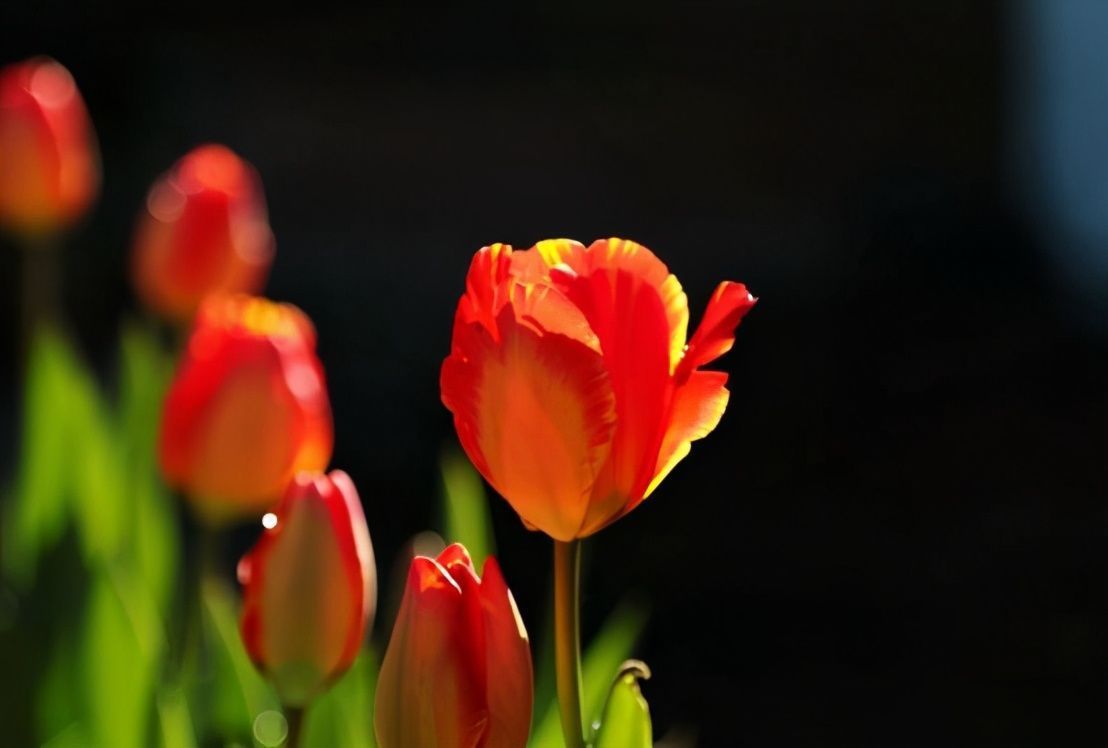 蔡猛!真正聪明的人,与人打交道时,不说以下五种话