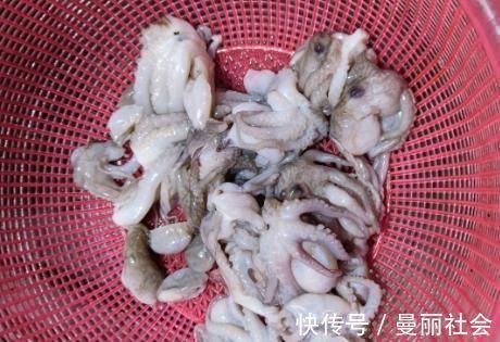 步骤|白灼八爪鱼为啥咬不动?海边渔民指出做错的步骤,原来这做法才对