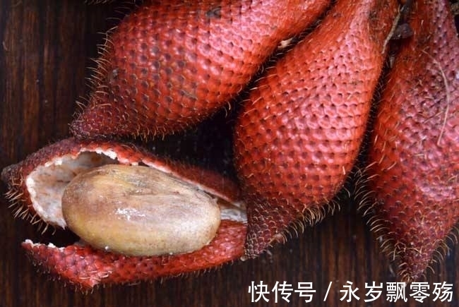 灌木|植物界的十大奇葩,你可能1种也没见过!