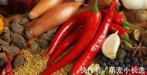 卤猪蹄|什么香料可以满嘴留香？