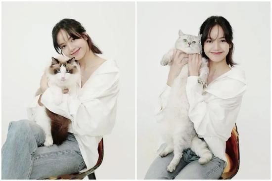 搭配|白衬衣搭配好了就是百搭神器！