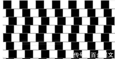 中老年人|最新老年痴呆测试图中大象一共有多少条腿答对的人头脑很清醒