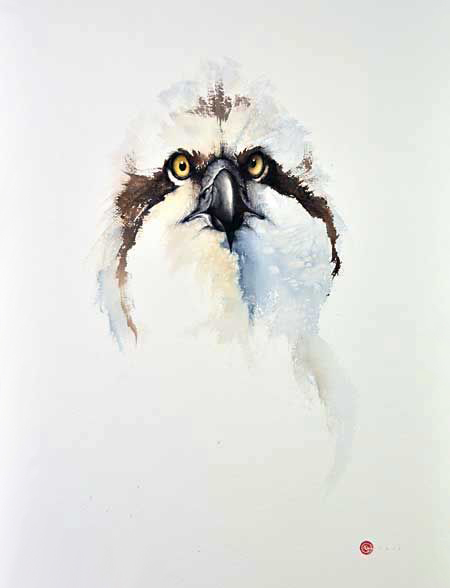 水彩艺@水彩艺术家卡尔·马尔滕斯画的鸟,惟妙惟肖!