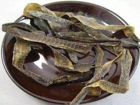 野钓|入秋后,钓鱼根本不用打窝!野钓用这些,水底的鱼全被你钓光了