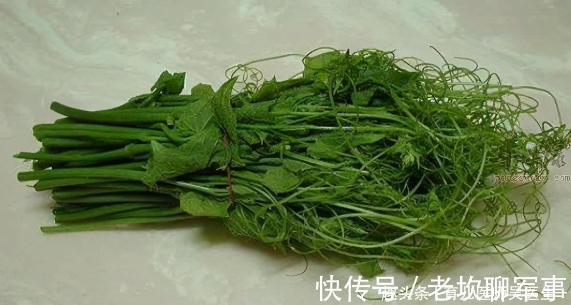 延缓衰老|秋天预防衰老,人体都吃的食物,肌肤好了,富含营养,提高免疫力