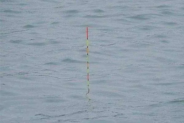 想要清晰的顿口，吃铅是要轻一点还是大一点