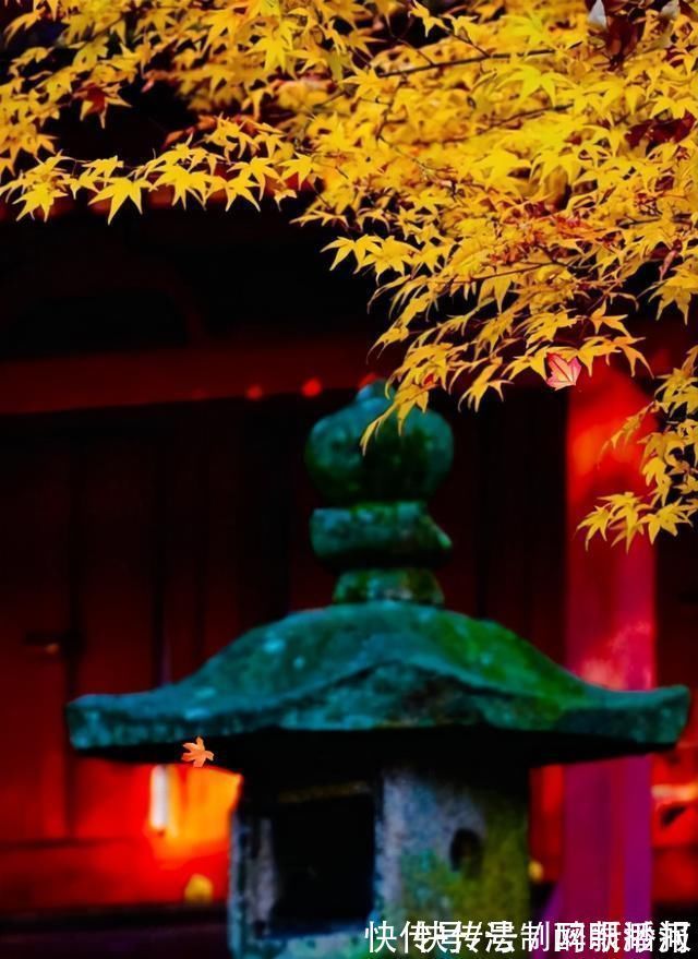 释文珦#诗僧笔下的秋天,不仅有最美的秋色,还有浓浓禅意,令人回味无穷