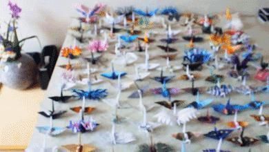 抑郁小哥把一只2毛钱的千纸鹤折成了我买不起的样子,不但病好了还年入百万