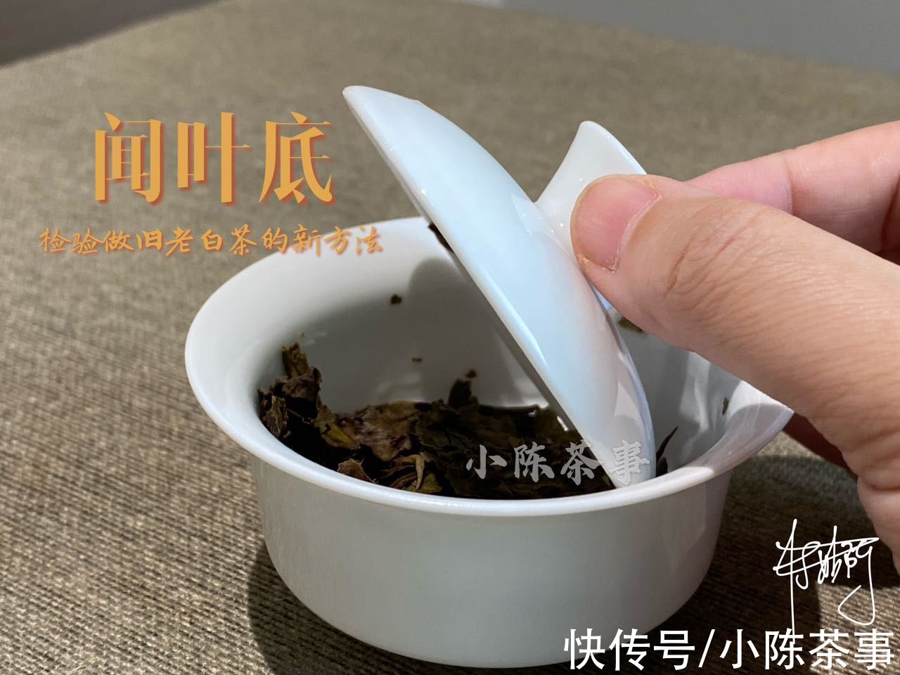 白茶|“一眼假”已经过时，高仿A货老白茶悄然降临，教你一招鉴定真伪