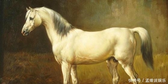 开国皇帝|宋高宗当皇帝不行,可他有三项隐藏技能,后人不得不给他点赞