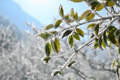 南方的雪景，竟然不输北方