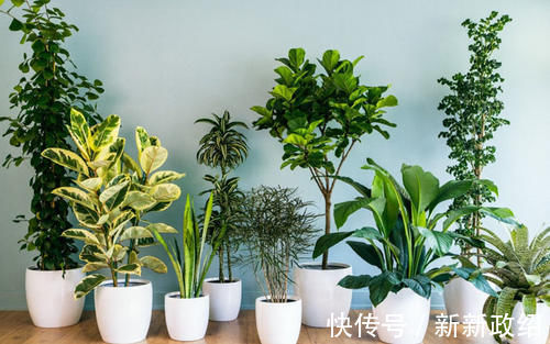 加湿器|房间总有臭味?教你6招保持屋子清新干爽!