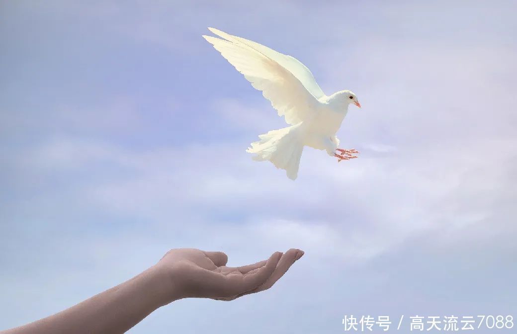 七绝|七绝《岁末感怀》新韵