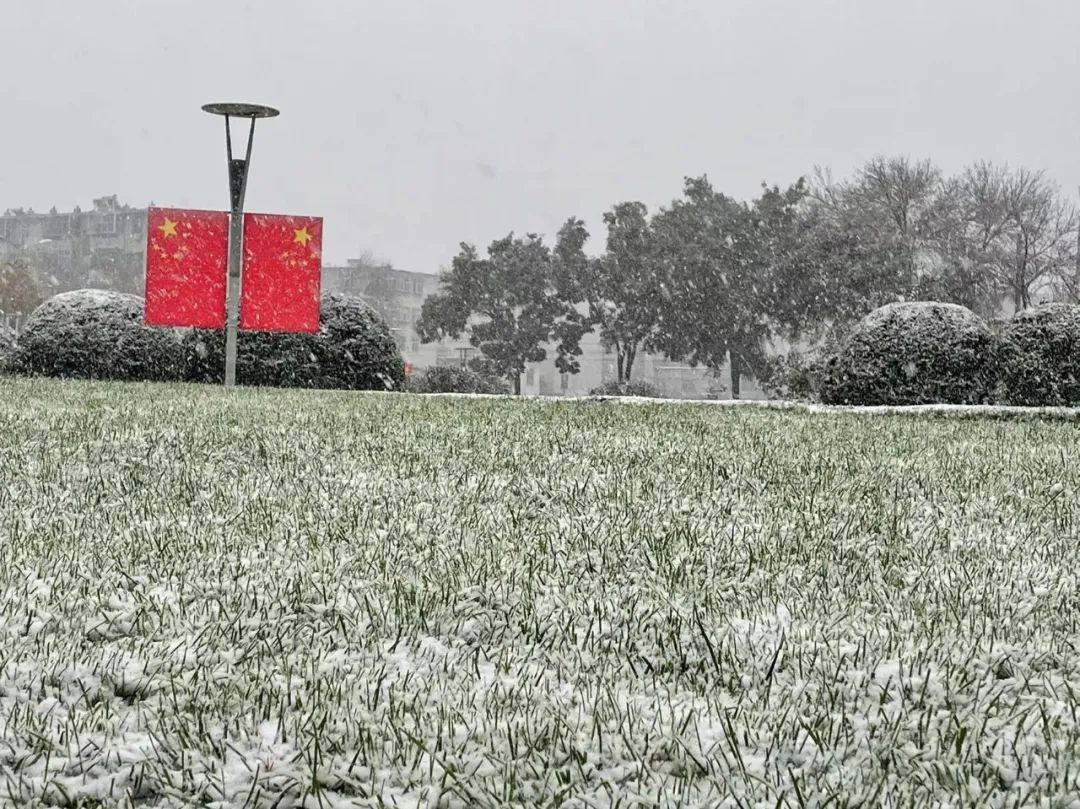 停运|如约而至！山东今冬第一场雪发货了！