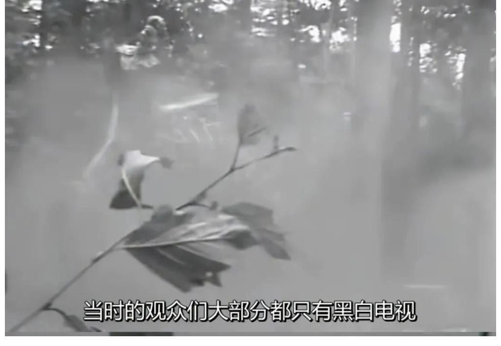 蜘蛛精$西游记幕后故事:黑熊怪一人分饰14角,二郎神比唐僧还禁欲