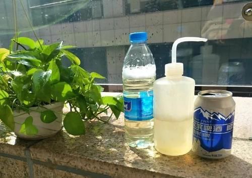 都知道啤酒养花好，然而，没掌握住“浓度配比”却会出大事