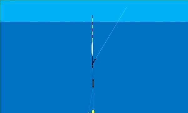 野钓|调漂技巧带饵调漂的操作要领和公式，按照公式调漂，肯定错不了