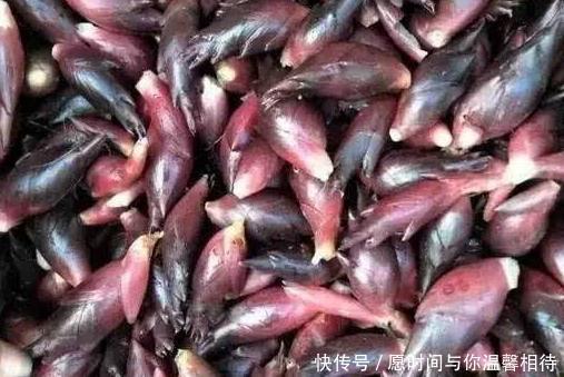 改善|1种植物,可以做菜,还能保护眼睛,润肠通便,改善皮肤状态