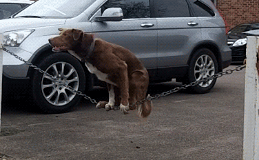 |搞笑GIF:姑娘 你这算是魔术吗 为什么我做不到