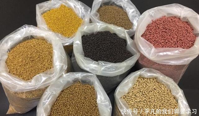 饵料要香甜可口,钓鱼才会好用别犯傻,这反而是个圈套