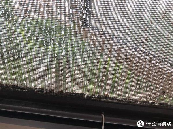 浴室|看似不起眼的5件家居用品，却让幸福感加倍，真的便宜又好用