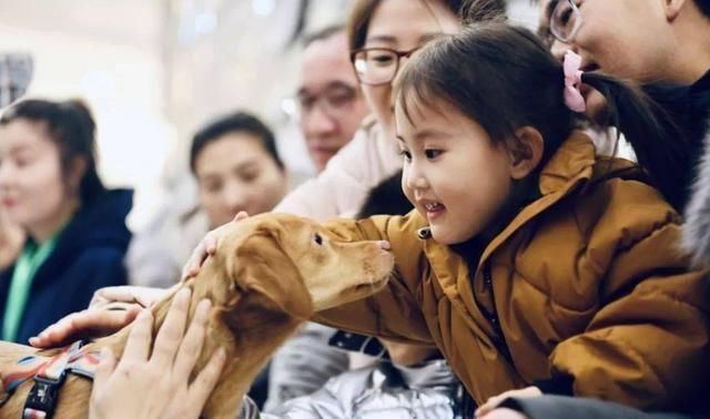 生娃|老汉21年生下15个孩子,75岁成网红,如今一家人生活怎么样