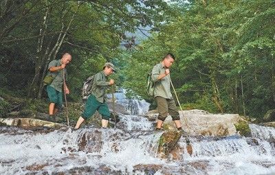 与林为伴 以山为家（追梦路上）